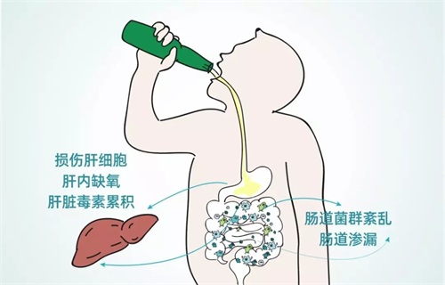 啤酒和白酒能掺着喝吗？混着喝对身体有什么影响？(图2)