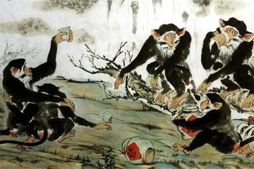 猿猴造酒的传说——猿猴造酒是有意识的吗？(图2)